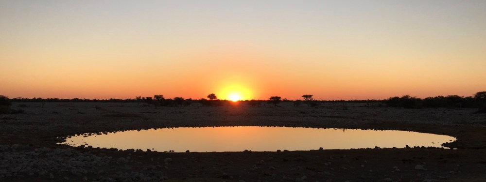 etosha-sunset